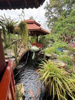 biệt thự vườn 1.669,6m² ngay trung tâm củ chi tặng cây kiểng gần 2 tỷ, giá 13 tỷ 500 triệu