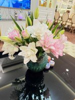 bán căn hộ 3 ngủ, 2 vệ sinh, 110m2 giá 10,5 tỷ, full nội thất đẹp ở ngay, toà hoà phát