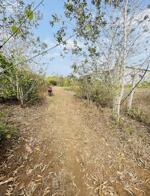 1 sào đất tại phường Long Khánh (Bàu Trâm cũ), Tỉnh Đồng Nai