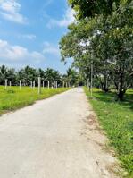 Đất nền giá rẻ có thổ cư đường xe hơi Kim Sơn.châu thành. Tiền Giang