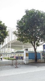 bán nhà nguyễn lam diện tích rộng ở sướng, 70m2, 10.5 tỷ