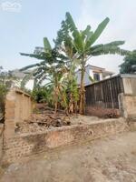 Cần bán 80m2 đất Phượng Nghĩa, Phụng Châu. Ô tô đỗ cửa