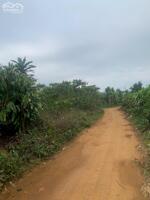 4,5 sào - 400 triệu/ sào, sổ hiển thị đường tại Lộc Tân - Phường 2 mới Bảo Lộc