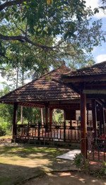 bán quỹ đất farm lớn xã diên lâm diên khánh