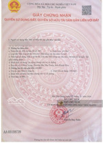 chính chủ nhờ bán đất trung tâm bắc nha trang, đường nguyễn chích. 196.9m2, ngang 8.32m. giá 12 tỷ