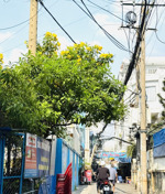 siêu to khổng lồ - ngang gần 6 mét dài 23m - shcn 113m2 - nở hậu xịn sò c4 - phù hợp xây mới chdv