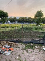 bán đất nền dự án tại khu hồ sen, trường chinh, tân bình, 65 triệu / m2, 85.5 m2, hot!