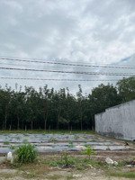 chính chủ cần bán gấp đất ngay kcn chà là tây ninh
