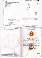 bán đất tại xã diên toàn, huyện diên khánh, khánh hòa, 2,23 tỷ, 106,4 m2