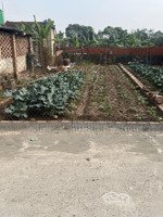 bán đất đông tảo vuông đẹp 80m2 giá đầu tư 2,9 tỷ có thương lượng