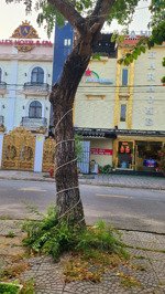 hotel kđt trảng kèo 21p hội an dòng tiền kinh doanh tốt