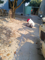 chính chủ cần tiền bán gấp lô đất đẹp - 2 mặt ngõ - khu dân cư tấp nập