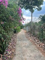 cần tiền bán gấp 4,7 sào đất sông xoài - p tân thành - tp hồ chí minh ( sẳn 150m thổ cư )