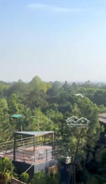 đất rsx 14600m2, mt 200m 3.9 tỷ, minh phú, sóc sơn. kd dưới tán rừng. nghỉ dưỡng, quán, khu du lịch