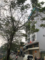 bán nhà mặt phố bờ sông sét, 65m2 x7t thang máy,oto vào nhà kd, buôn bán, vphòng cực tốt,31,5 tỷ