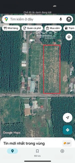 bán đất tại bàu sen, 20 tỷ, 6000 m2, chính chủ bán gấp