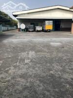 Cho Thuê Kho Xưởng/Đất Làm Kho Xưởng Chế Biến Thuỷ Hải Sản (Vũng Tàu, Gần Cảng Cái Mép + Lộc An)