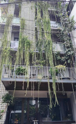 siêu phẩm chdv q2 - doanh thu 430tr/tháng gần 408m2 nở hậu 18m - pccc chuẩn - giá 105 tỷ