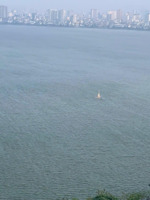 chính chủ cho thuê căn hộ 4pn 159m cao cấp bậc nhất chung cư del dorado - view hồ tây, tầng cao