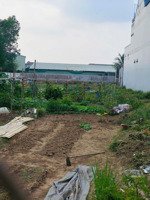 bán đất đẹp 1.915m² tân phước khánh, thổ cư 300m phù hợp xây biệt thự, nhà vườn