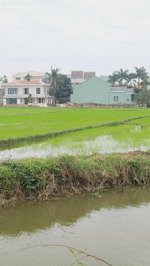 view lúa gần roving chillhouse 500m2 tặng villa cẩm châu hội an