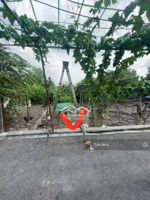 đất đẹp 73m giá nhỉnh 7 tỷ | cơ hội hiếm. vị trí đất , thôn xuân trạch , xã xuân canh cũ .