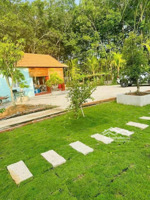 đất vườn bình dương bến cát gần trường đại học quốc tế việt đức giá rẻ nhất thị trường có 3,2tr/m2