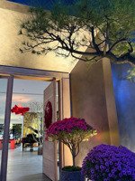 bán s lập nhỏ áp góc tulip 6, 114m,h thiện đẹp, tháng máy, vị trí nội khu gần vườn hoa, hồ điều hòa