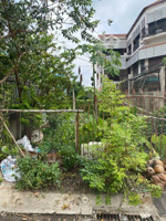 đất thổ cư mặt tiền đường tân hiệp 8-1, xã tân hiệp, hóc môn, đường 10m, dt(5x35)166m2