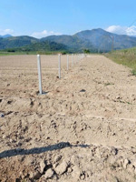 cần bán nhanh lô đất 3 măt tiền cuối diên sơn đầu diên lâm, 700m2 giá 450 triệu