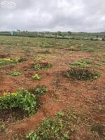 5,1 sào + cộng nhà Kho có thổ cư khùng 4400m2 mặt tiền liên xã Tân Tiến - Krong Pak