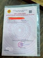 chính chủ gửi bán 99.6m2 ngay trung tâm văn giang. cách 2 kđt ecopark và vinoceanpark chưa tới 1km