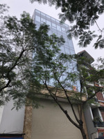 siêu phẩm mặt phố vũ tông phan: 210m2 - 8 tầng thang máy - mặt tiền 8m - 130 tỷ