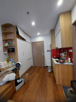 cho thuê căn hộ studio toà s302 vinhomes smart city, tây mỗ, nam từ liêm, hà nội