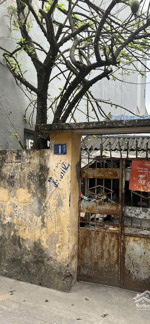 chính chủ bán đất vị trí đẹp gần cầu đông trù, gần vin cổ loa phù hợp xây ở hoặc giữ tiền đầu tư