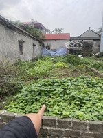 bán đất thôn quang hiền , hiền giang nay là xã thường tín