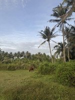 bán 3102m thổ cư đường bàu me, thiện nghiệp giáp sun group giá siêu tốt