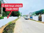 Chính chủ bán gấp lô đất trục chính kinh doanh Thanh Vân, Tam Dương 99,1m MT5M sẵn sổ giá 1.57 tỷ 0988296228