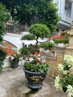 bán nhà biệt thự còn rất mới gần bãi tắm hòn gai, phường hạ long - quảng ninh. 312m2, mt 12m