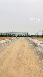 cần bán đất đấu giá tam nông phú thọ. ngay chân cầu bên em còn 2 lô: lk6-14 và lk4-21