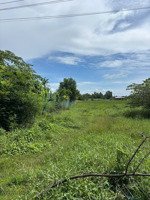 chủ cần tiền trước 15/3 bán gấp lô 96m2 chốt giá 475tr đ.năm ngói, mỹ lộc