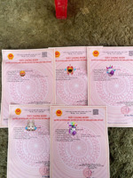 đất mặt tiền 1tỷ2 8100mv tân phú đông tiền giang