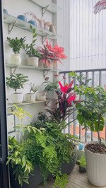 bán căn 2n2vs 77m2 chung cư five star kim giang, thanh xuân giá 7 tỷ 690 triệu