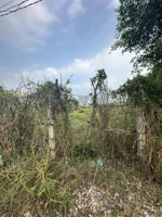 chính chủ ngộp gửi bán lô đất dt 89m2 full thổ shr giáp đường y tế b chốt giá 520tr