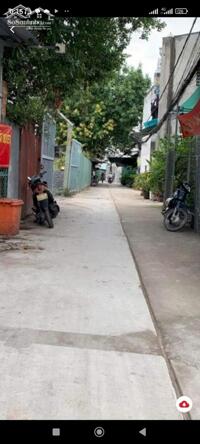 ảnh 7