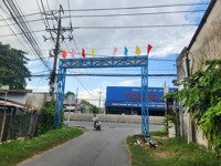 ảnh 2