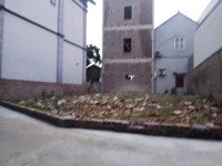 ảnh 2
