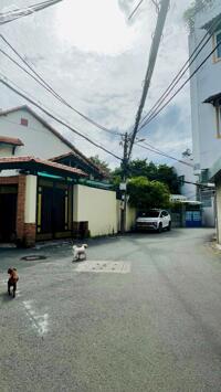 ảnh 5