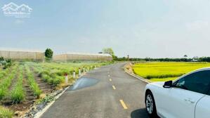 Đất Khu dân cư, nhà vườn ổn định View đồng lúa mát 4 mùa.