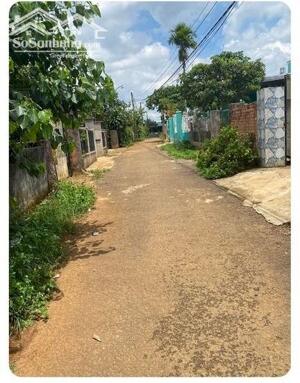 Chỉ 3,3 tỷ cho 1 lô đất nghỉ dưỡng 322m2, sẵn 100m thổ cư tại Bảo Lâm